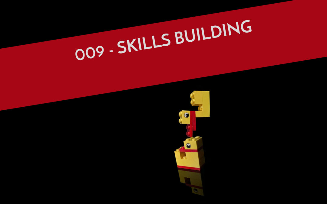 009 – Das Skills Building im LEGO® SERIOUS PLAY® Workshop